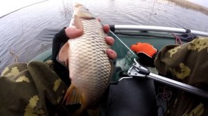 ? Весенняя рыбалка на фидер с лодки | Ловля карпа ? Мини-отчет