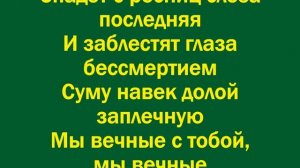 Мы вечные с тобой, мы вечные – минус
