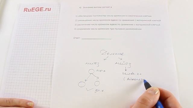 Решение демоверсии ЕГЭ по биологии 2016 | Задание 4. [Подготовка к ЕГЭ (RuEGE.ru)] смотреть онлайн