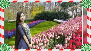 Камолиддин Рахимов Кул азизим.