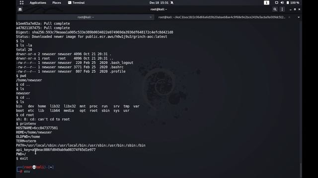 Advent of Cyber 3 | Day 18 | Docker and Containers | Walkthrough смотреть онлайн