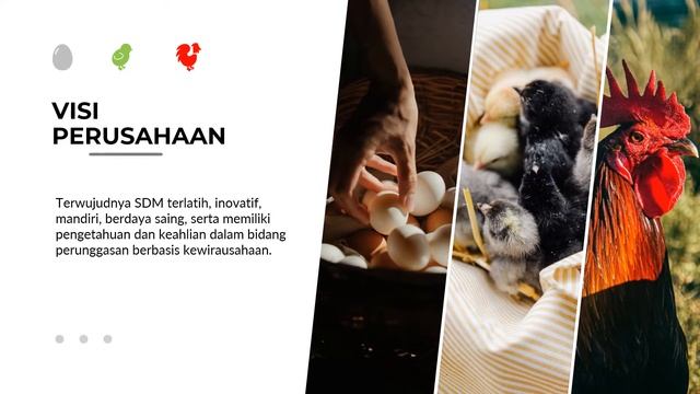 [0813 3409 9290] Company Profile JAVA POULTRY ACADEMY - Mencetak Entrepeneir Unggas смотреть онлайн