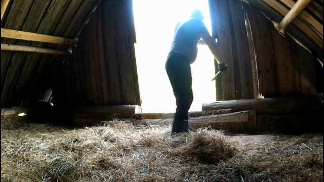 Ремонт бензо пилы или начало разбора. #11 смотреть онлайн