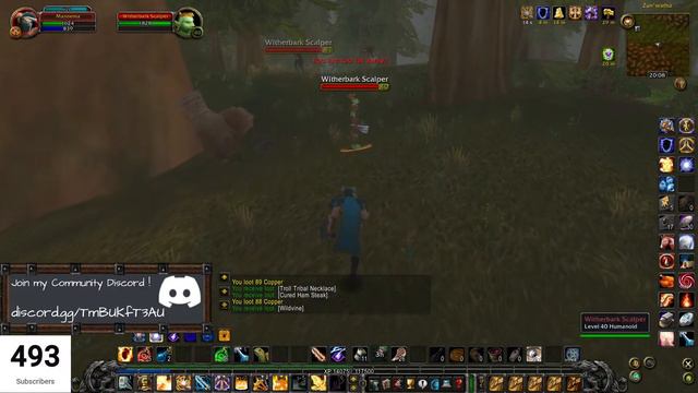 Turtle WoW HC [003] LVL 45 Paladin Chill Leveling