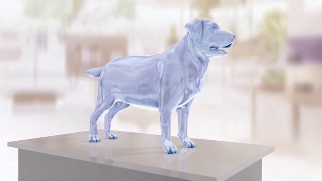 Hills Metabolic DOG HD смотреть онлайн