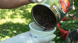 Зеленое удобрение без запаха. Отличная подкормка. Проверенный рецепт!