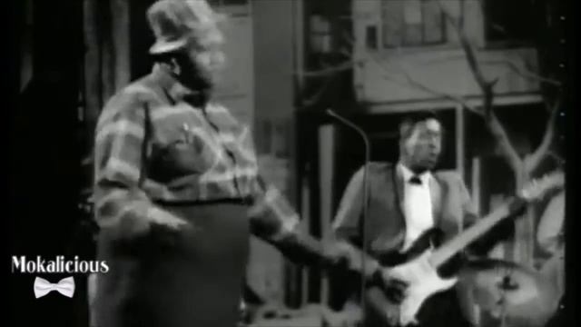 Big Mama Thornton ★ Hound Dog ★ "Power Mix" by Estèphe ★ Mokalicious Vj смотреть онлайн