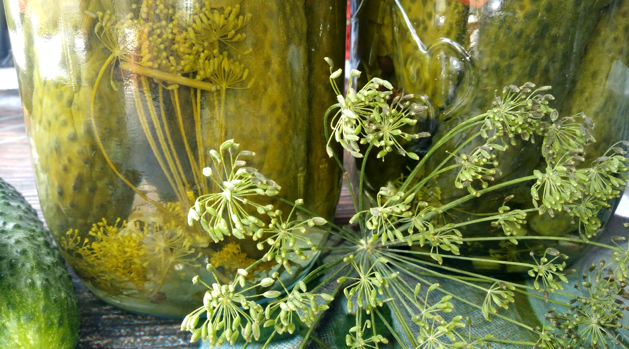 Хрустящие огурцы на зиму в банках. Готовлю с пряностями, получаются вкусные и ароматные огурчики. смотреть онлайн