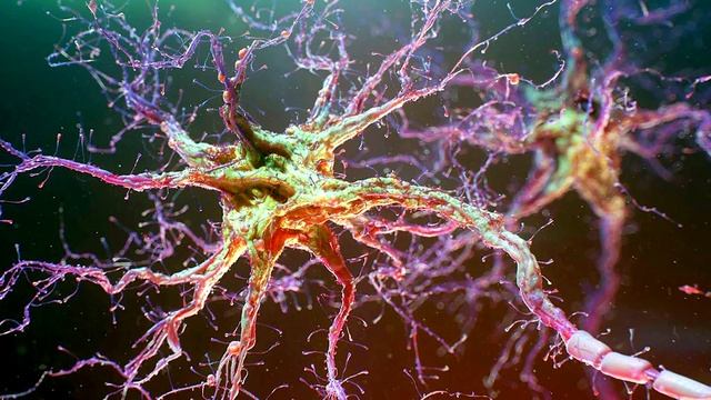 Инозитол (Витамин B8). Польза и действие на организм.