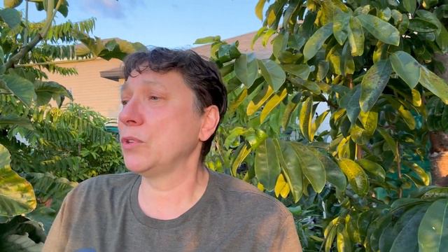 Старинный 100% Способ Вылечит Язву Желудка и 12 перстной Кишки смотреть онлайн