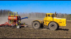 Кировец К-701 и Урал 5557 на посеве овса по распаханной целине.