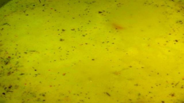 Рецепты от шеф-повара