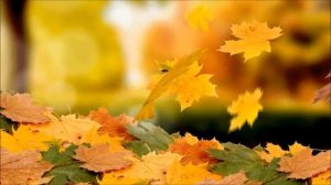 Игорь Наджиев #Грезы# Музыка Юры Шатунова  стихи Андрея Картавцева.Вера и Геннадий Ковтун.