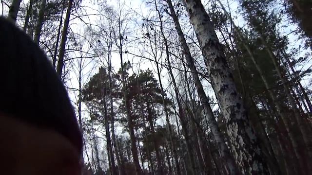 Рябчика на манок!!! Как подманить рябчика и добыть смотреть онлайн