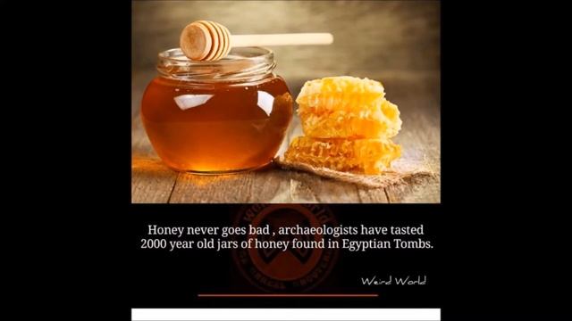 EMERGENCY DIY EASY homemade PENICILLIN tutorial смотреть онлайн