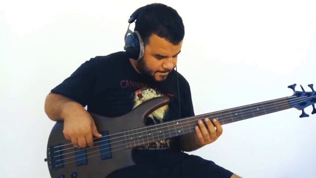 Obscura Incarnated Fretless Bass Cover смотреть онлайн