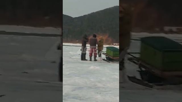 Три сахалинца пришли на подлёдную рыбалку с сетью смотреть онлайн