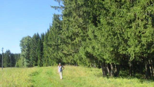 Владыки Света - Автор музыки и исполнитель Марк Субботин смотреть онлайн