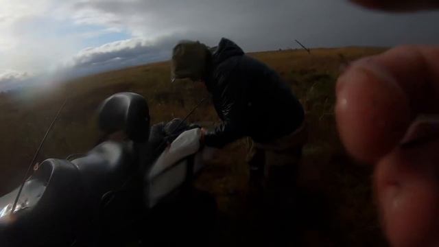 ЩУКИ КРОКОДИЛЫ, ОСЕНЬ, РЫБАЛКА смотреть онлайн