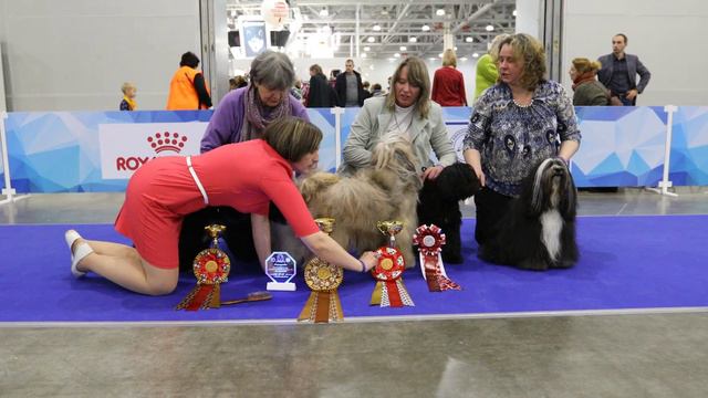 Подготовка 3