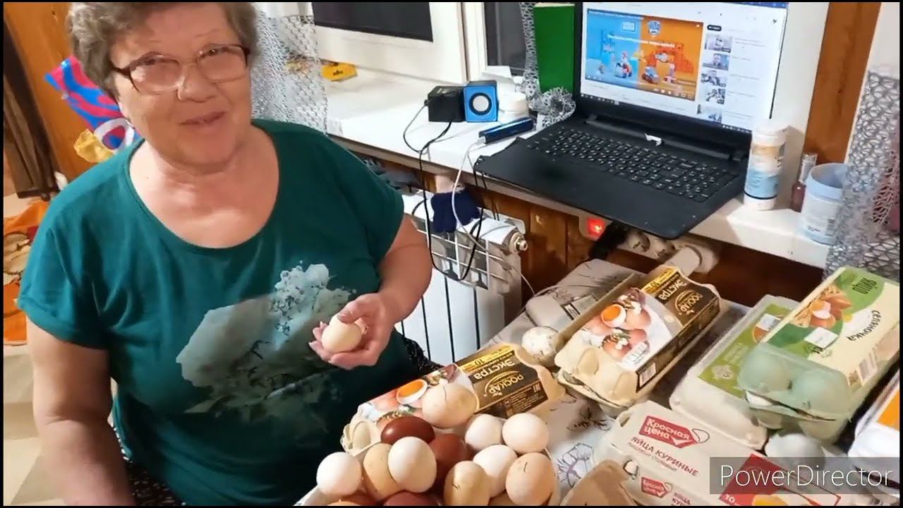 Елена Коптева