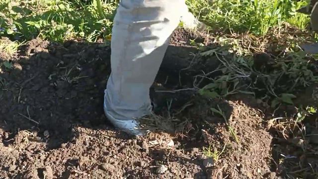 Аккумуляторный культиватор - оптимизация эффективности смотреть онлайн