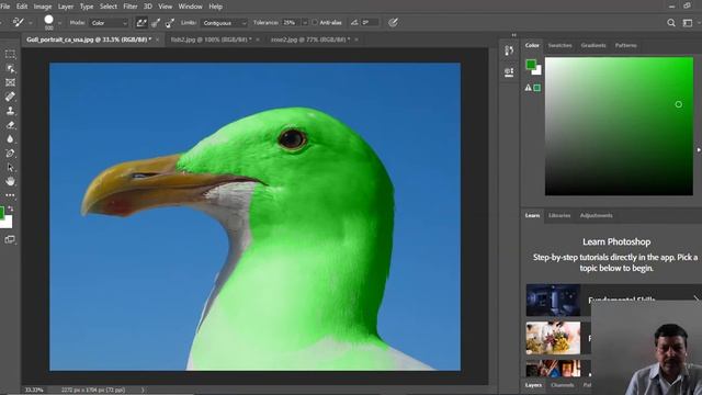 Use Of Color Replacement Tool In Photoshop