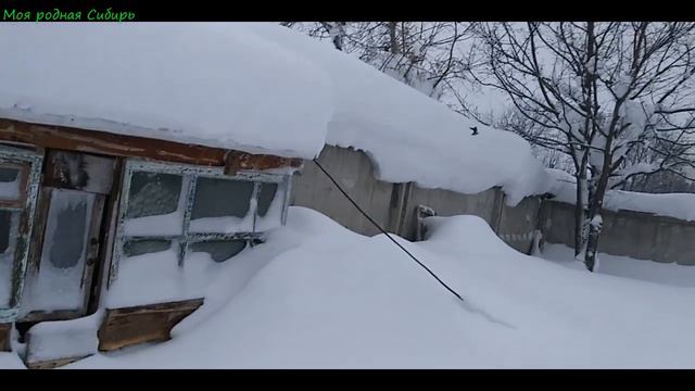Очень снежное видео! А так же про гусей и про курочек наших. смотреть онлайн