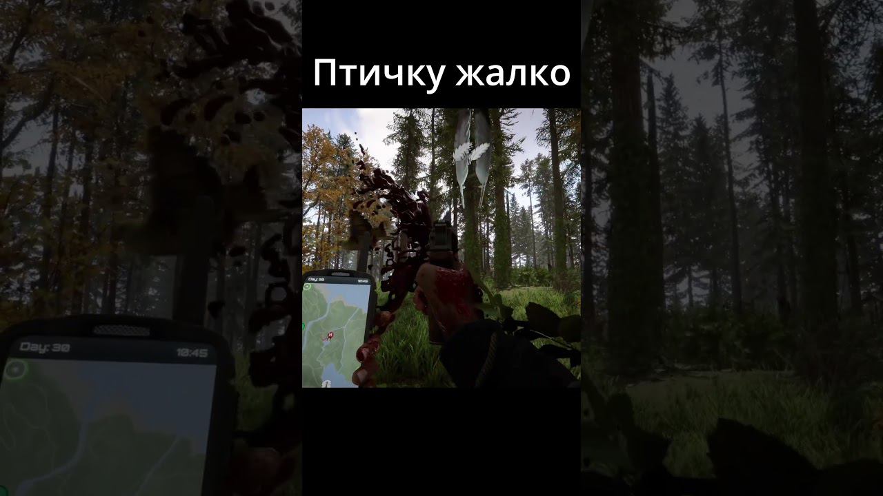 Птичку... жалко | Sons of the Forest