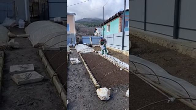 Прямой эфир. Посев Ялтинского лука в парники смотреть онлайн