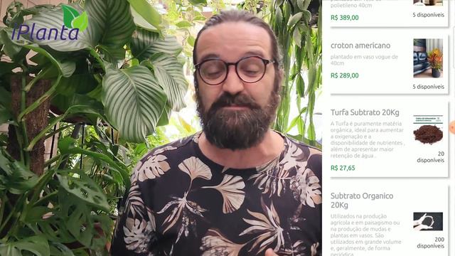 100 suculentas com identificação que talvez você NÃO TENHA NA SUA COLEÇÃO смотреть онлайн
