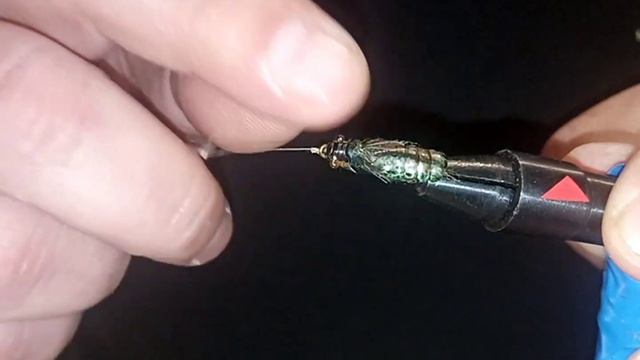 dragonfly larva. Обзор №1 мухи на хариуса лето 2022 года. смотреть онлайн