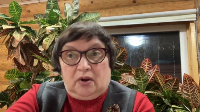 Где найти платные ролики смотреть онлайн