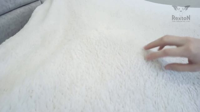 Кот Ориентал Разговаривает смотреть онлайн