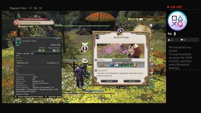 I am playing Final Fantasy XIV online (Trophy One with Ether) | Botanist Seeds of Hope Started смотреть онлайн