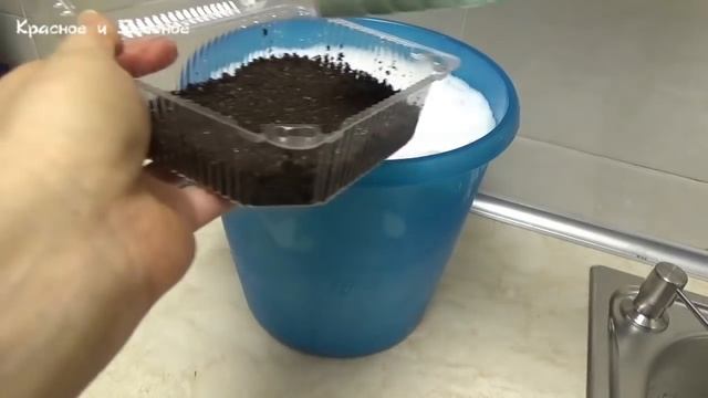 Посев семян НА СНЕГ без ошибок смотреть онлайн