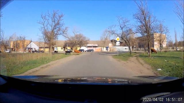 200402 Пьяный велосипедист смотреть онлайн