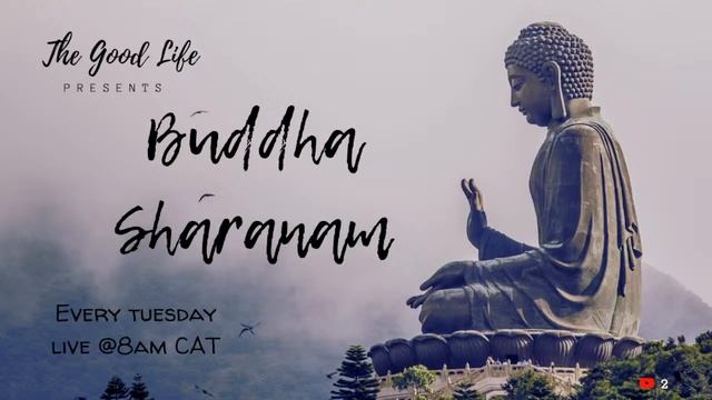 Buddha Sharanam | Meditation Music LIVE | Flute Music | Relax At The Feet Of Buddha смотреть онлайн