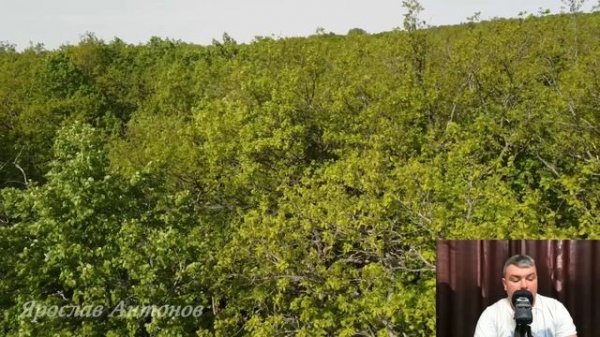 Свидетель поневоле. Аудиорассказ