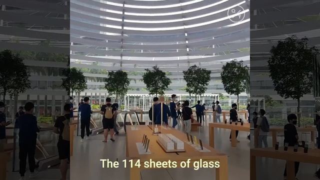 Apple's 360°floating store in Singapore - if there is something to be celebrated in 2020 it is this смотреть онлайн