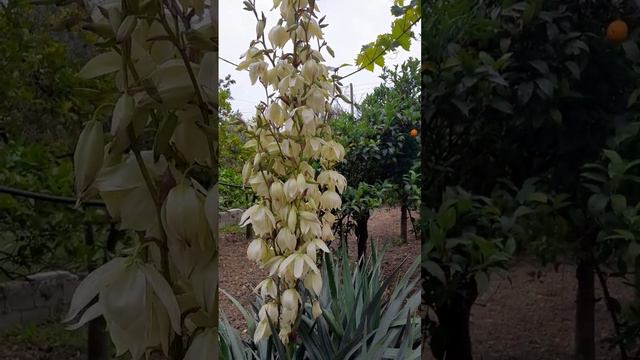 и дома сидеть не будешь и на улице особо нечего делать смотреть онлайн