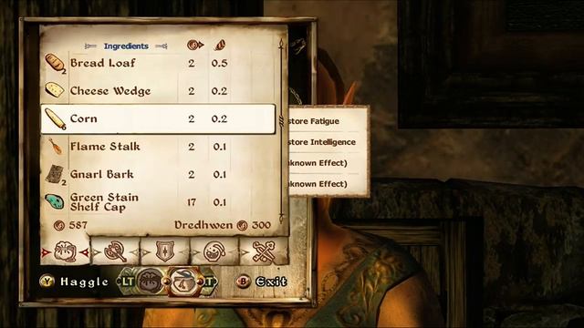 Oblivion DLC: The Shivering Isles Ep1 смотреть онлайн