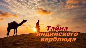 Тайна индийского верблюда.. (рассказ)