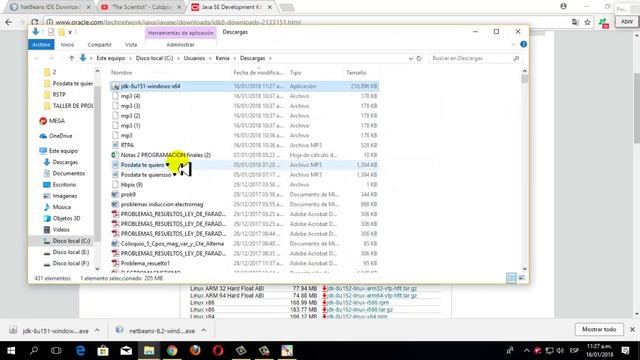 DESCARGA E INSTALACION DE IDE NETBEANS JAVA+JDK | VIDEO TUTORIAL 2018 смотреть онлайн
