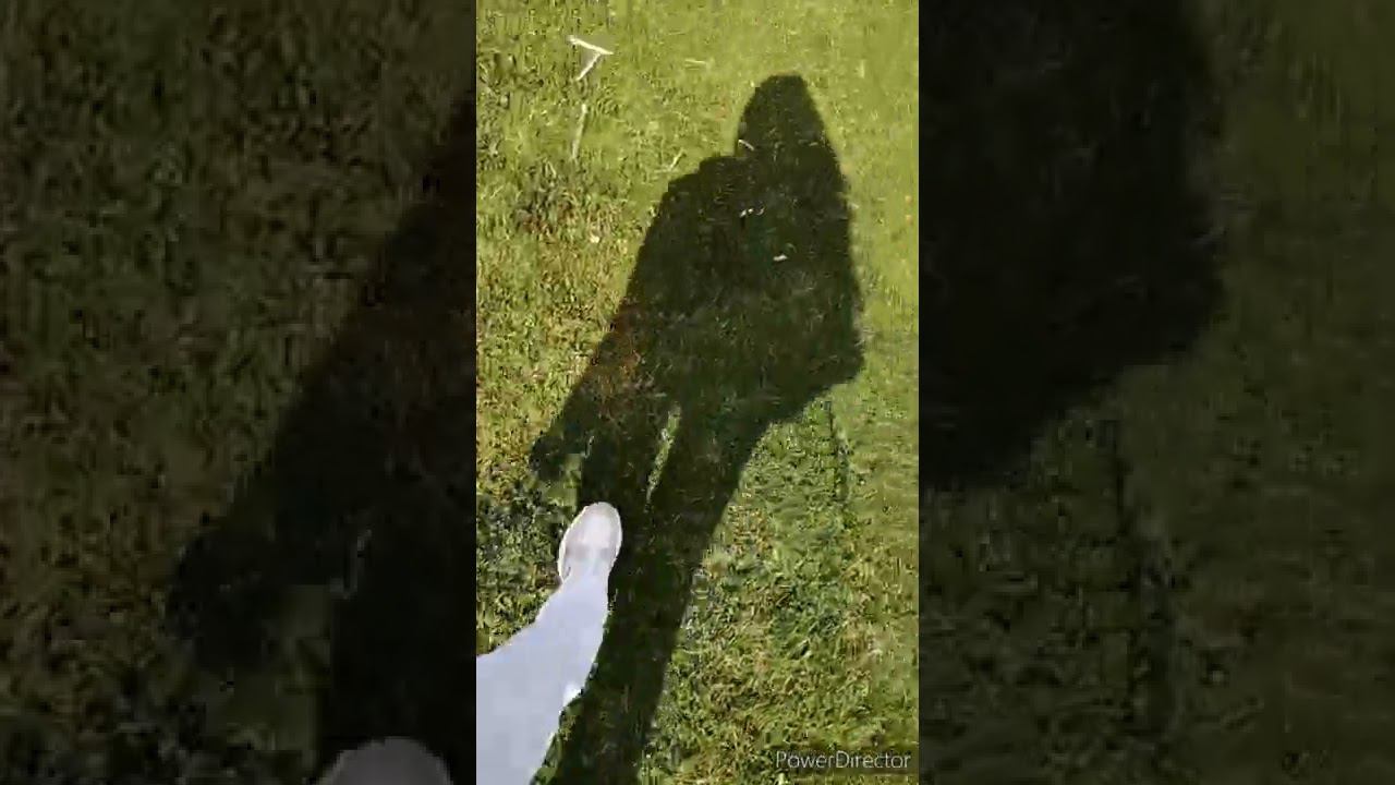 Story of Your Life смотреть онлайн