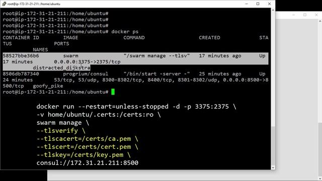 Docker Swarm: Set up TLS смотреть онлайн