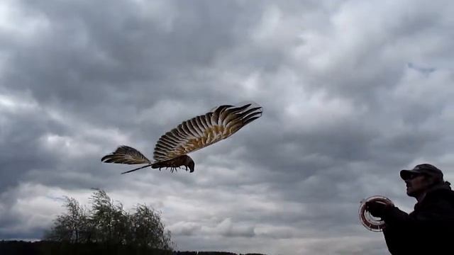 Запускаем воздушного змея. "орёл 2" смотреть онлайн