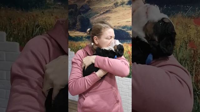 Синий мальчик, 28 дней смотреть онлайн