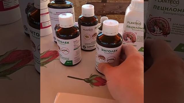 Биопрепараты.СЗР. смотреть онлайн