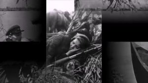 Катюша...Расцветали яблони и груши
Канал: Песни военных лет -